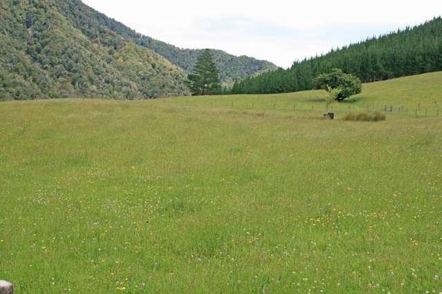 994 Maungatapu Road Rai Valley_1