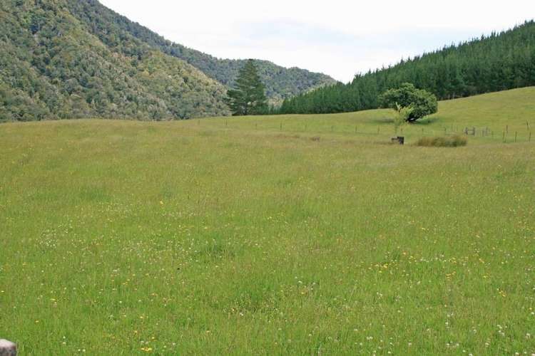 994 Maungatapu Road Rai Valley_1