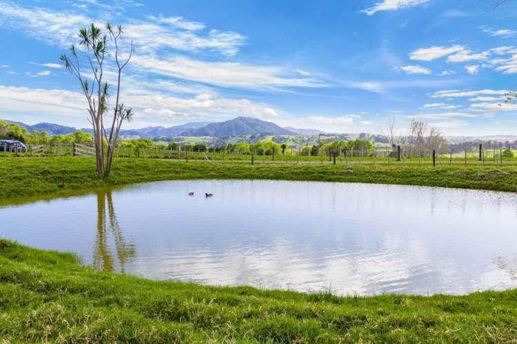 73 Ranganui Road Kaiwaka_53