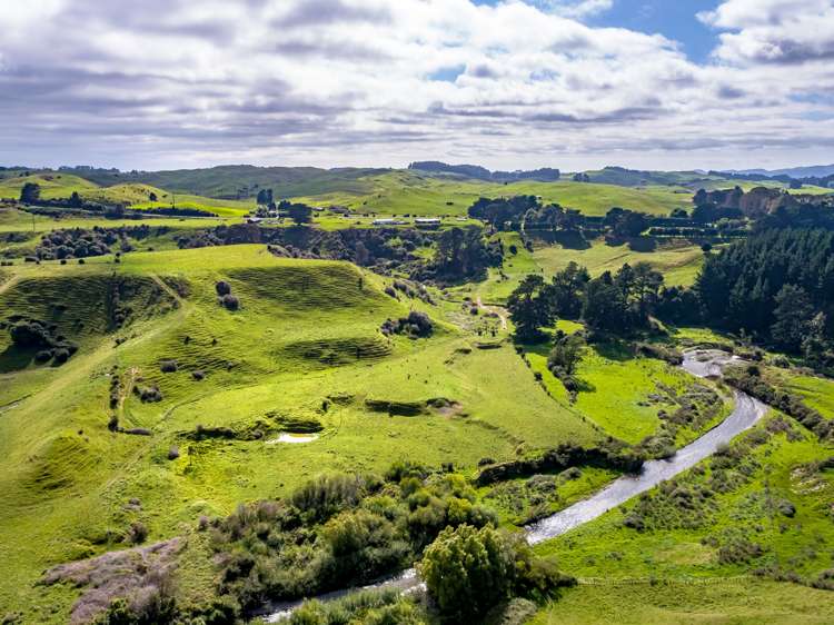 200 Garfield Road Norsewood_9