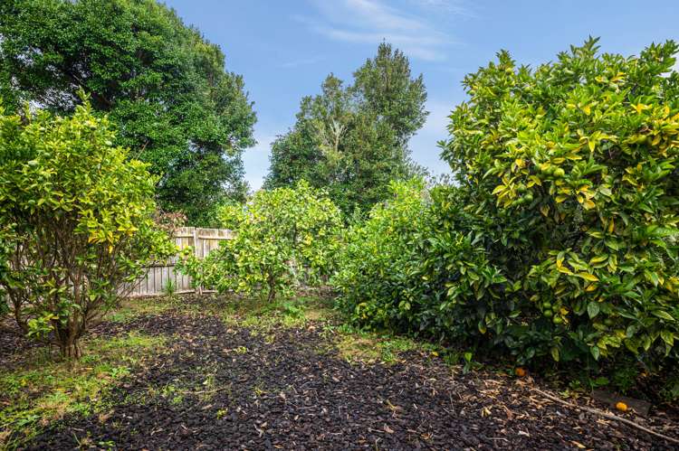 46 Milan Drive Glen Eden_14