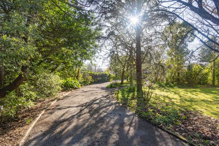 61 Udy Street Greytown_20