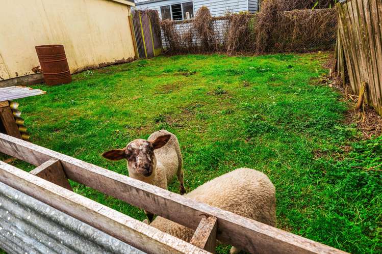 5 Leese Street Taumarunui_13