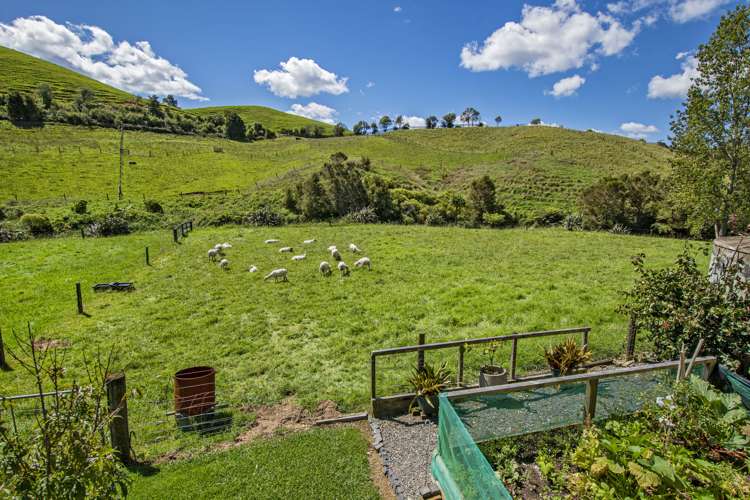 283 Pataua North Road Whareora_29