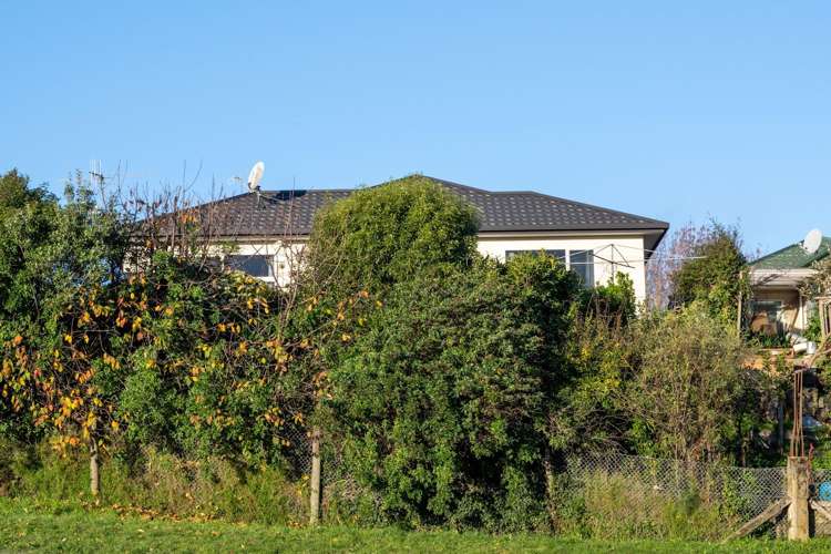248E Annesbrook Drive Wakatu_24