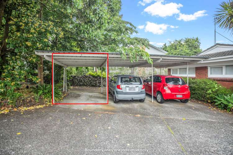 3/62 Woodside Road Mount Eden_18