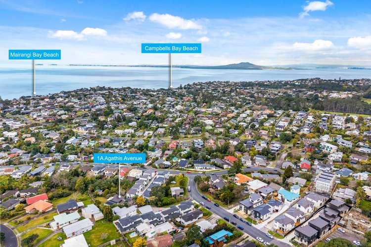 1a Agathis Avenue Mairangi Bay_23