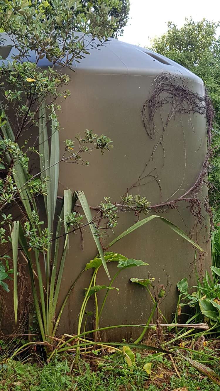 329 Blind Bay Road Great Barrier Island (Aotea Island)_14