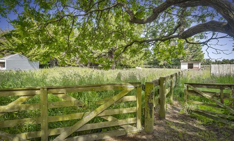 325 Curraghs Road Rolleston_21