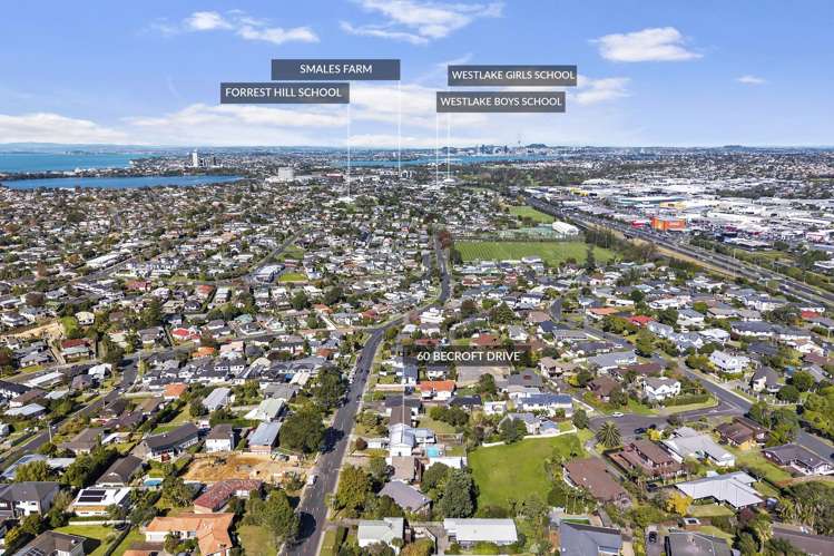 60 Becroft Drive Forrest Hill_16