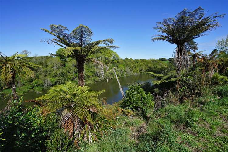 4a Twin Oaks Drive Tamahere_5