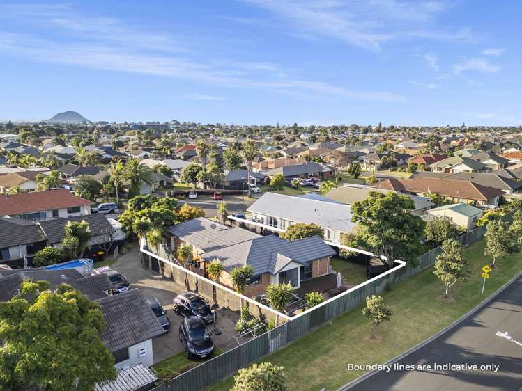 41 Francevic Avenue Mount Maunganui_15