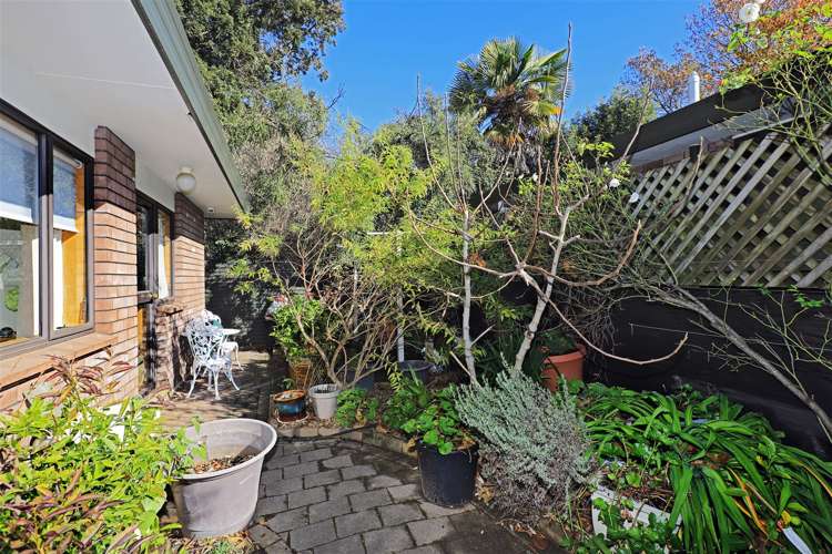 1/703 Charles Street Raureka_12