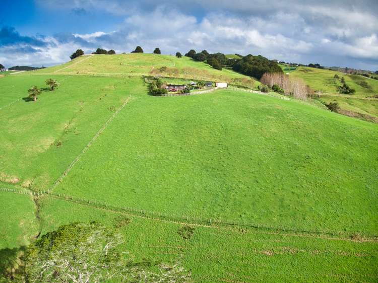 77 Vista Lane Kaiwaka_8