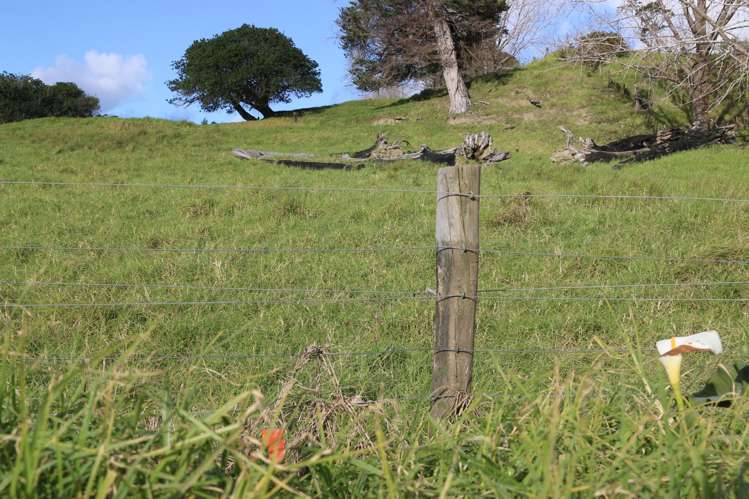 Lot 1 Motukiore Road Horeke_7