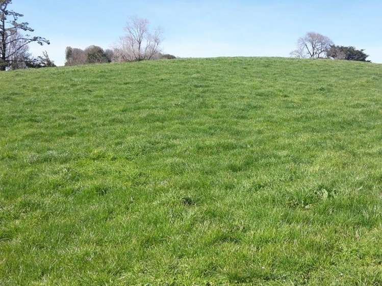 346 Rugby Road Tariki_10