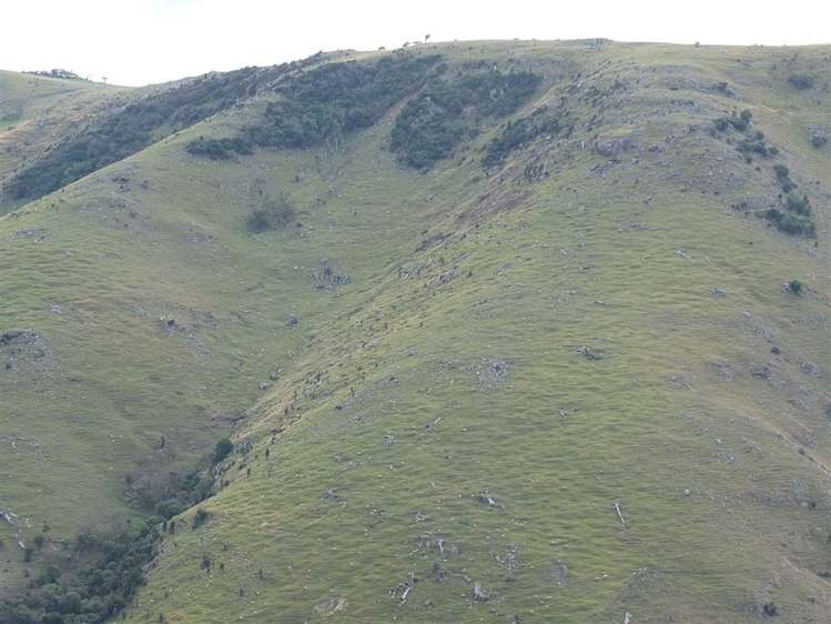 831 Chorlton Road Little Akaloa_34