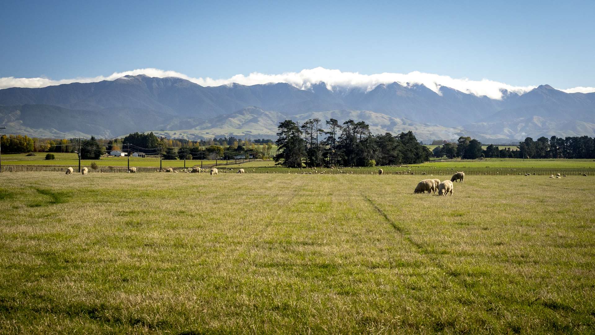 593 East Taratahi Road East Taratahi_0