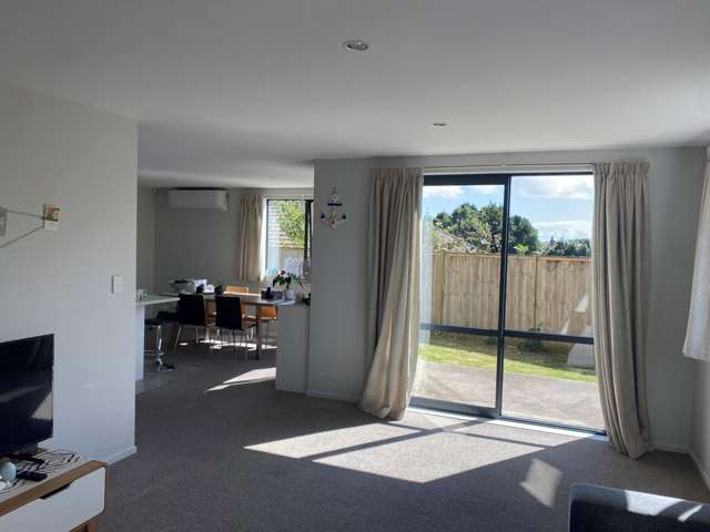 4a Trent Road Panmure_4