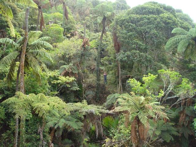 Matawherohia Road Kaeo_4