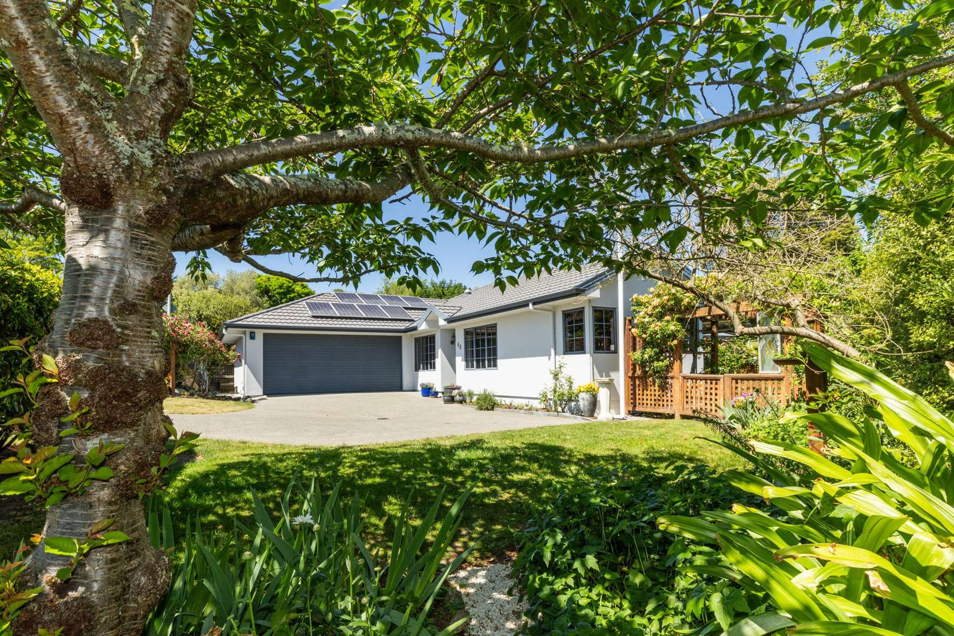 46 Lucknow Road Havelock North_0