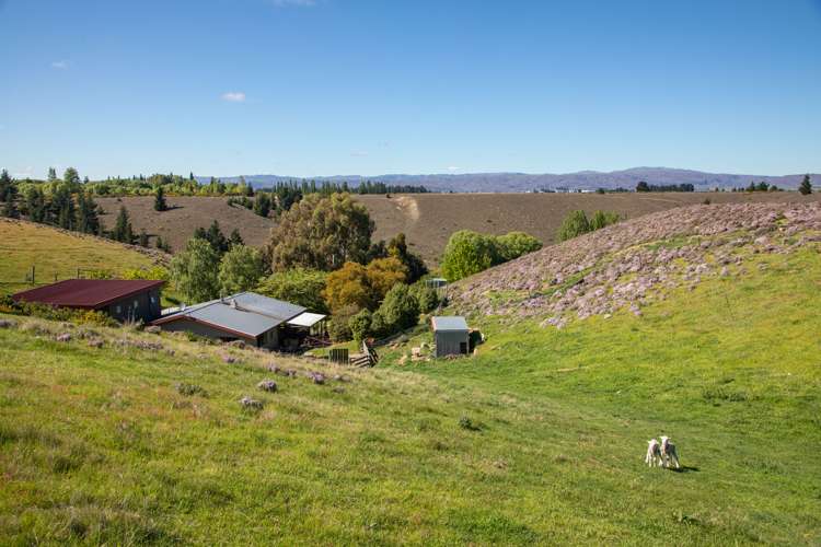 267 Springvale Road Alexandra_24