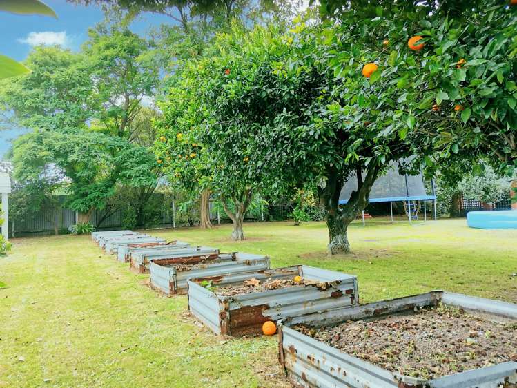 3 Rutherford Street Wairoa_13