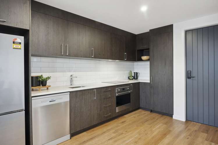 155 Tomahawk Road Andersons Bay_6