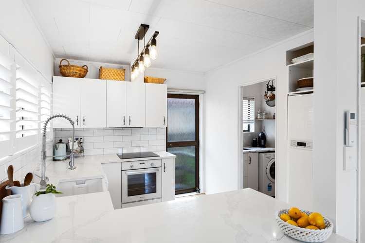 21b Nukumea Common Orewa_10