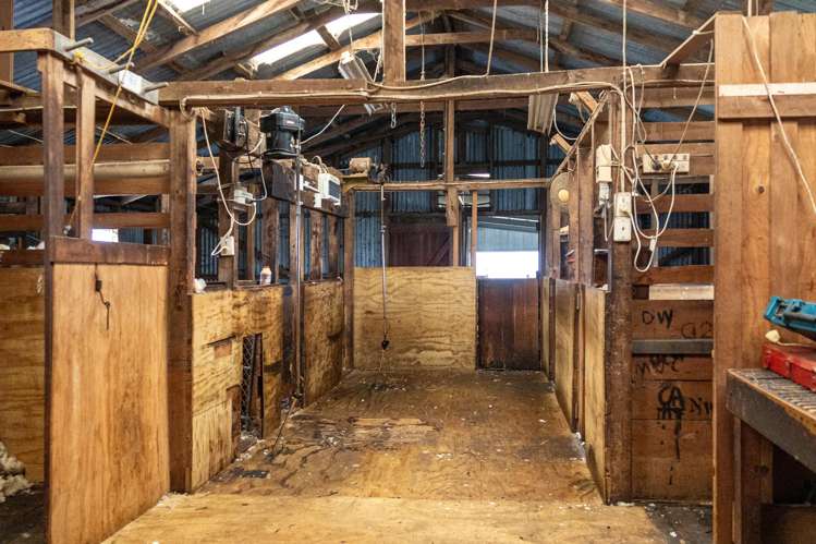 89 Chisnalls Road Hinds_18