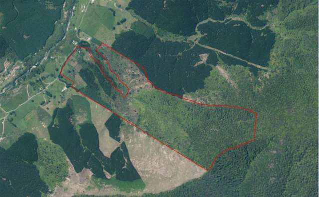 441 Wakamarina Road Havelock_3