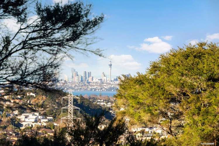 329 Don Buck Road Massey_9