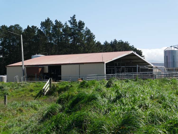 569 Maunga Road RD6 Dannevirke_13