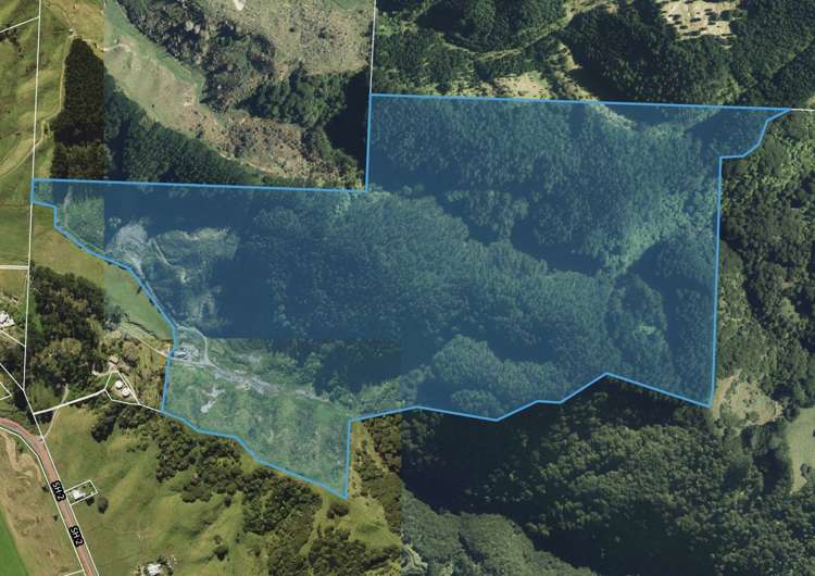 1 State Highway 2 Taneatua_2