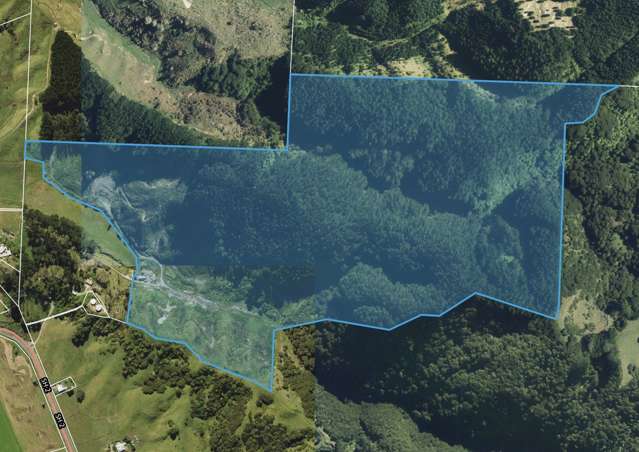 1 State Highway 2 Taneatua_2