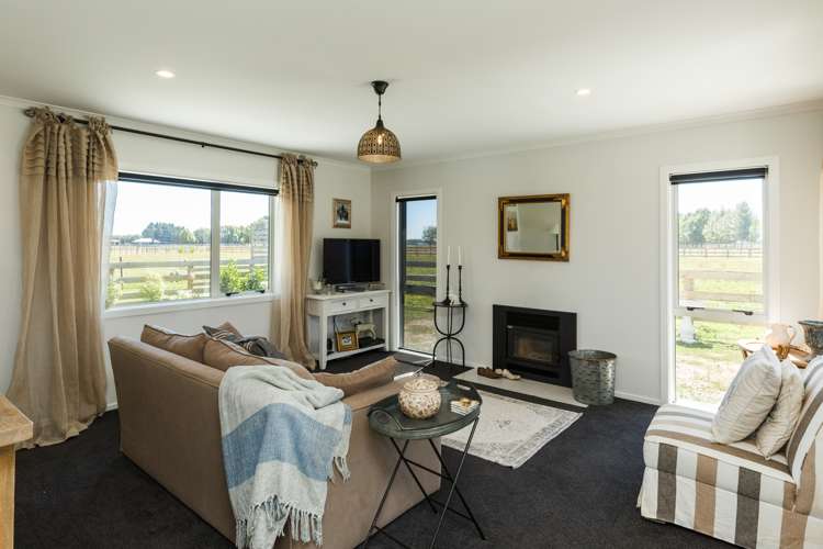 541 Newbury Line Bunnythorpe_12