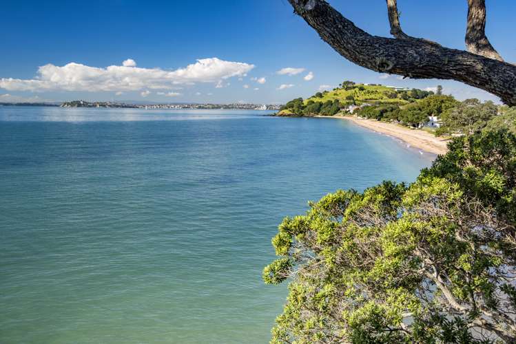 84a Vauxhall Road Narrow Neck_6