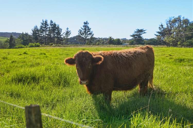29 Dodds Road Kaitaia_28