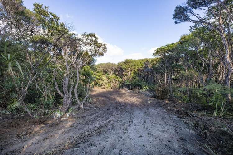 14 La Trobe Track Karekare_11