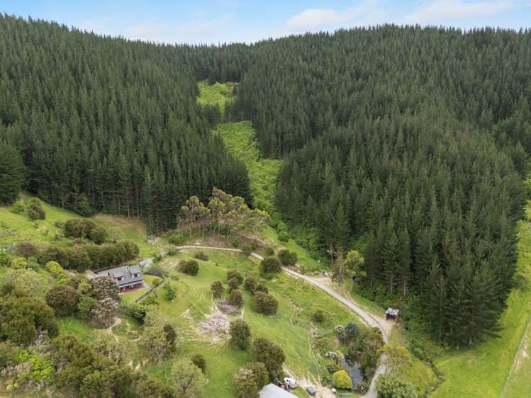 125 Kaiuma Bay Road Canvastown_10