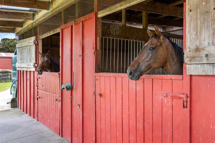 145 Hanham Road Kumeu_35