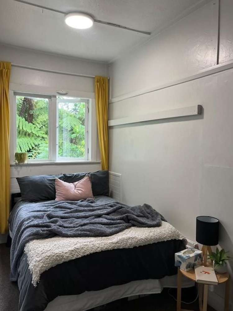 6 Semeloff Terrace Aro Valley_4