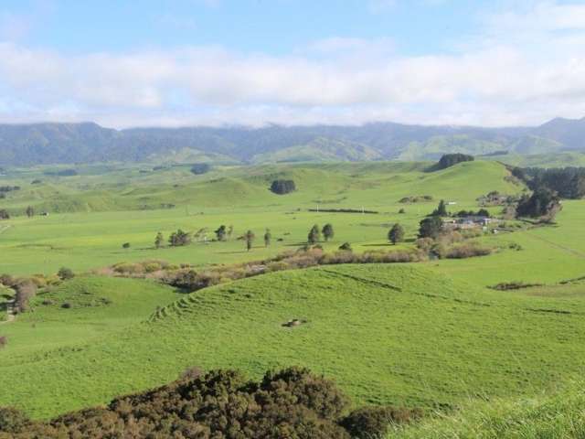 25 Knight Road Woodville_4