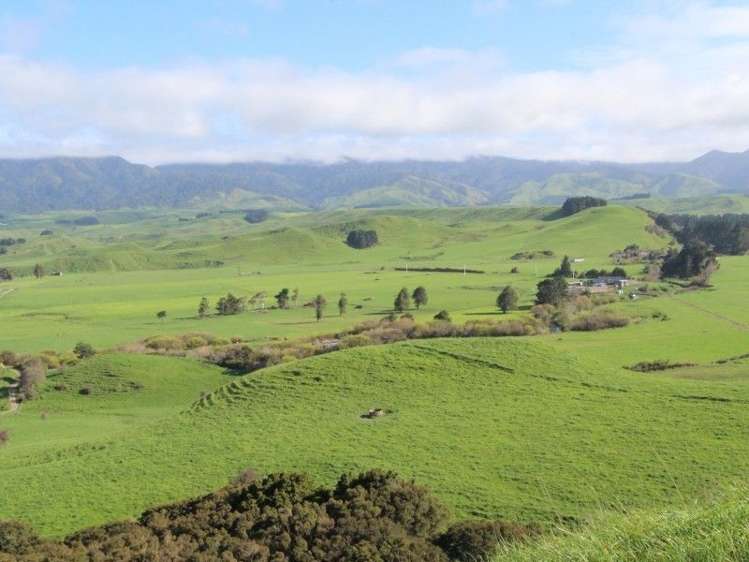 25 Knight Road Woodville_4