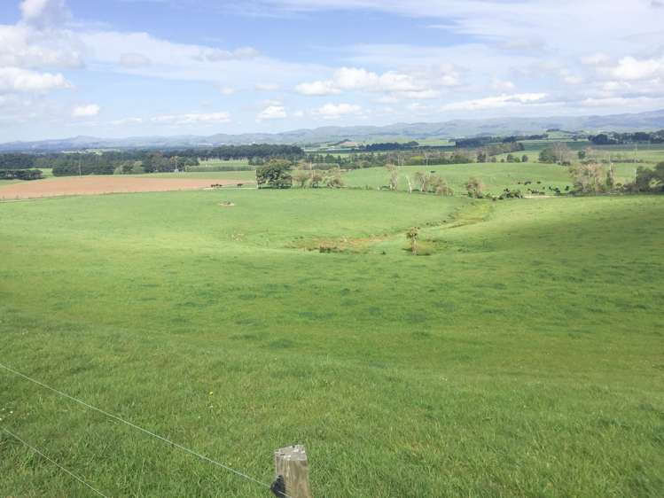 1550 Top Grass Road Rangitikei Surrounds_10