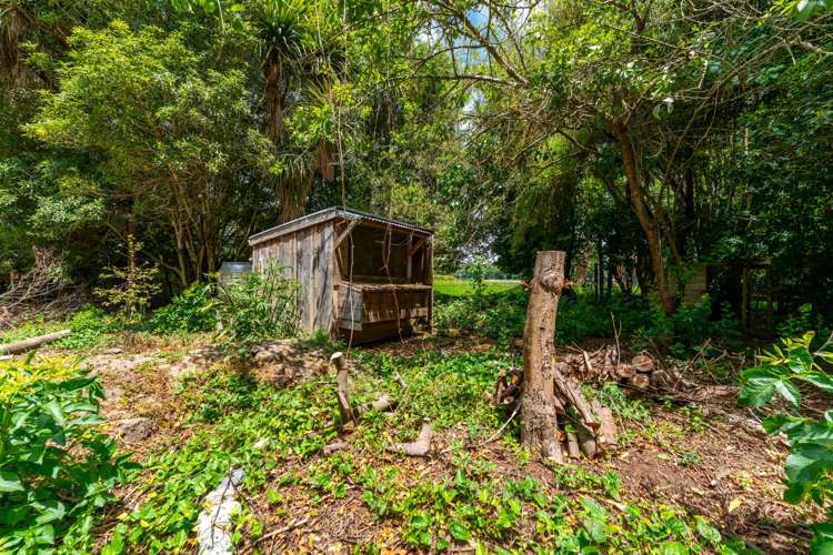 500 Waipopo Road Seadown_14