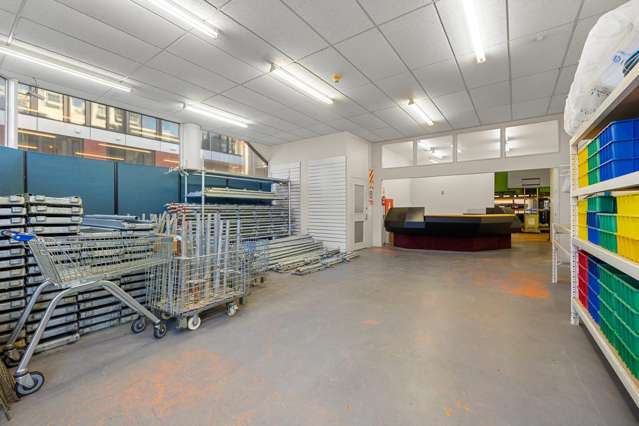 Unit 4, 3 Alpha Street Te Aro_3