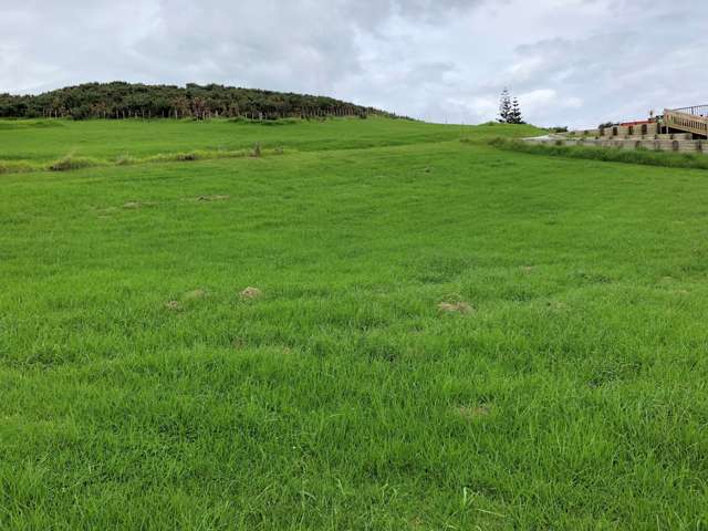 12 Opononi Heights Drive Opononi_2