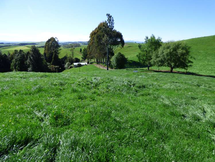 2229 State Highway 31, Kawhia Road Otorohanga_6