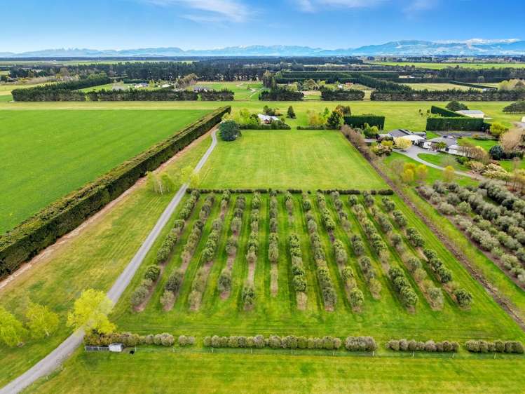 783 Downs Road Eyrewell Forest_17